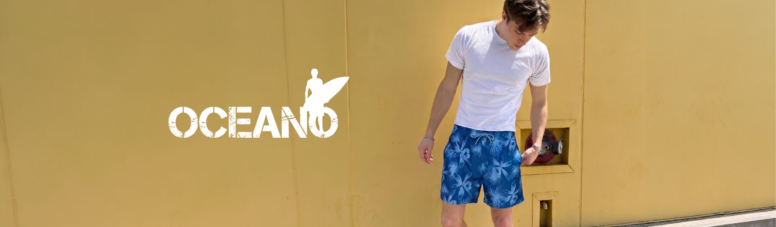 Oceano campaign banner